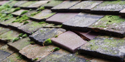 Shirenewton roof repair costs